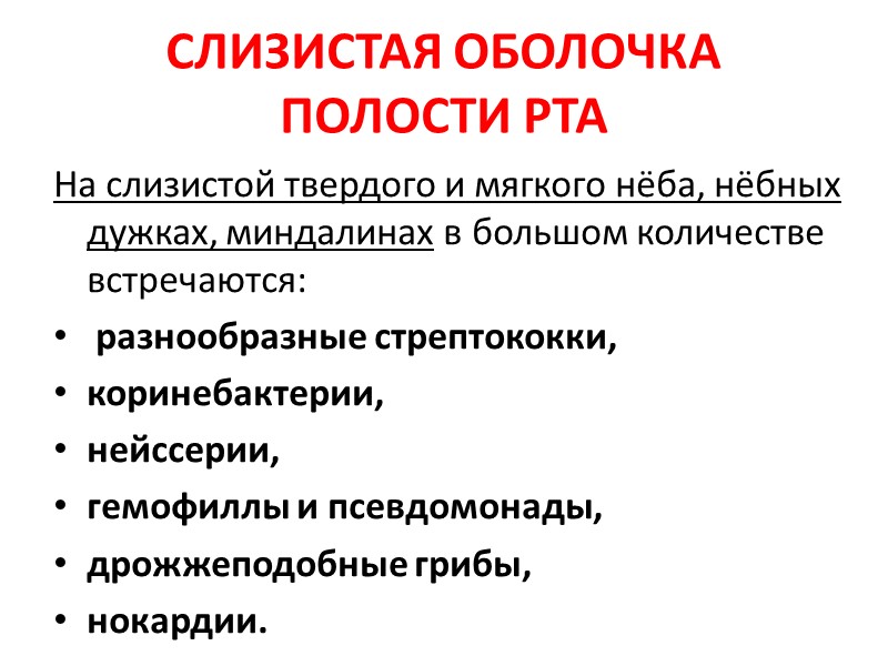 СЛИЗИСТАЯ ОБОЛОЧКА ПОЛОСТИ РТА На слизистой твердого и мягкого нёба, нёбных дужках, миндалинах в